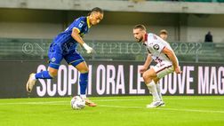 Attacco Verona, Livramento è pronto