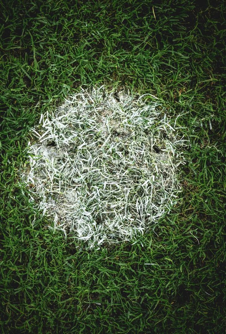 L’Olimpico si prepara per l’arrivo degli azzurri: “La quiete prima della tempesta” - immagine 2