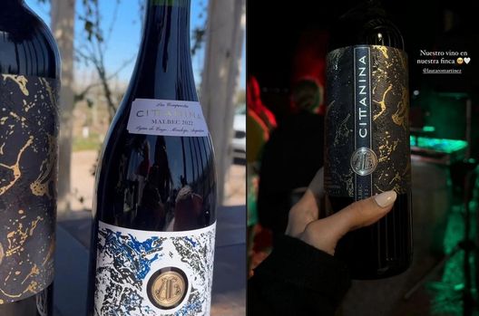 Lady Lautaro si gode una giornata speciale nei vigneti di Mendoza: “Il nostro luogo felice”- immagine 3