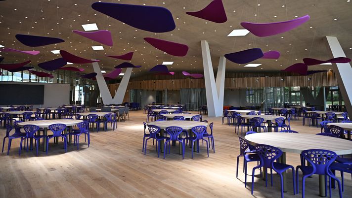 Viola Park, è il giorno-chiave per l’agibilità: oggi si decide, pronto lo show - immagine 1