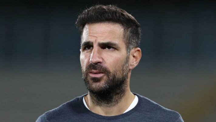 Fabregas: “Non avremo Sergi Roberto e Perrone, anche Mazzitelli in dubbio” Fabregas: “Non avremo Sergi Roberto e Perrone, anche Mazzitelli in dubbio” - immagine 1