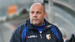 Palermo, tornano Tedino e Foschi