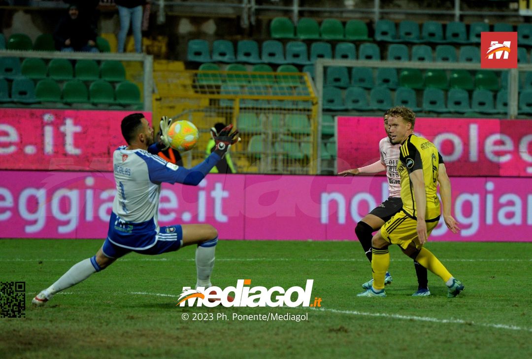 FOTO Palermo-Pisa 3-2, 17ª giornata Serie B 2023-2024 (GALLERY) - immagine 24