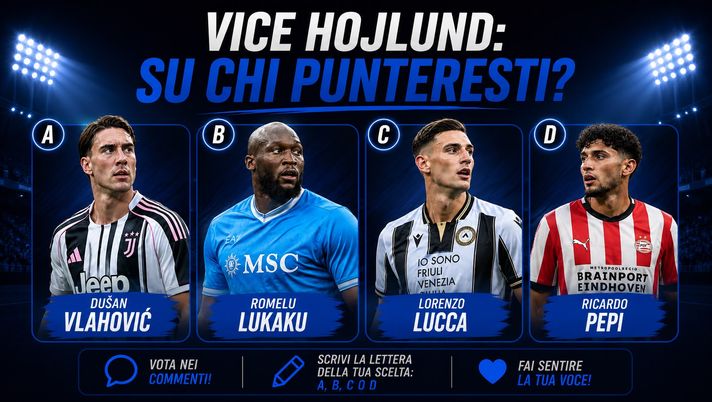 SONDAGGIO Vice Hojlund: su chi deve puntare il Napoli? SONDAGGIO Vice Hojlund: su chi deve puntare il Napoli? - immagine 1