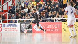Vinumitaly Petrarca, domani la sfida cruciale contro Pesaro alla Gozzano per tornare alla vittoria