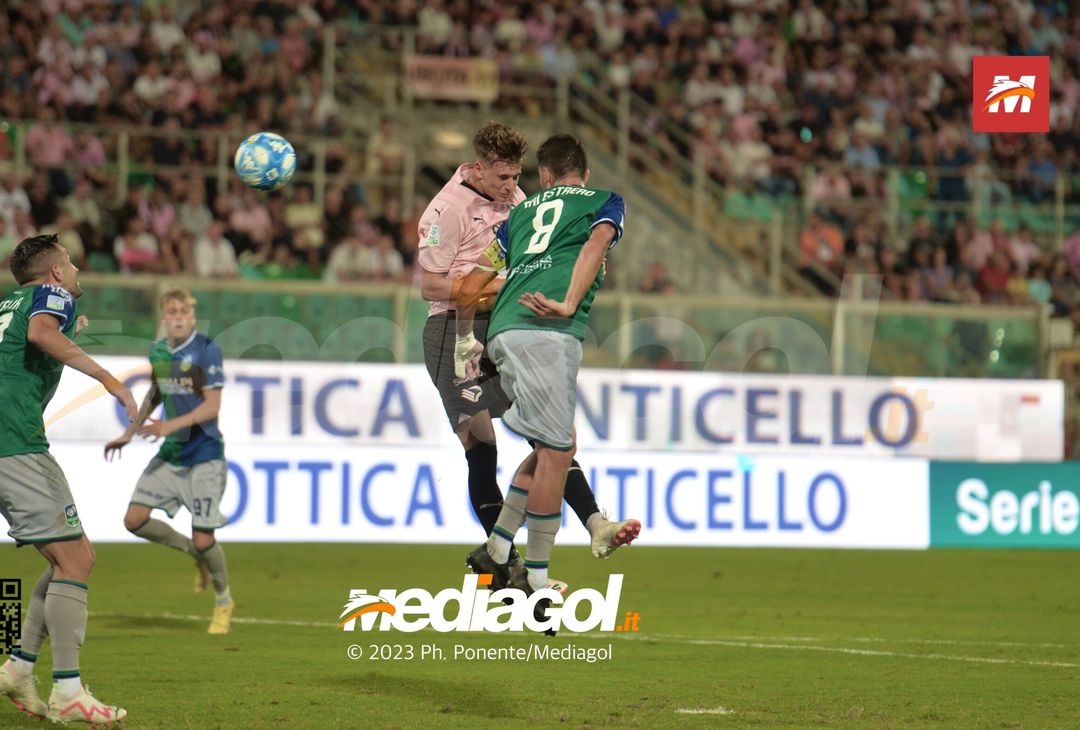 FOTO Palermo-Feralpisalò 3-0, 4ª giornata Serie B 2023-2024 (GALLERY) - immagine 98