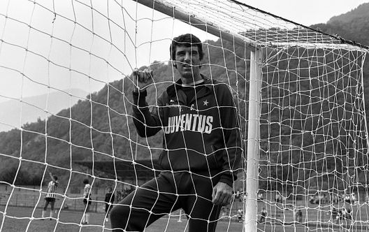 Torino-Napoli andata e ritorno: i principali doppi ex di Juventus-Napoli- immagine 2