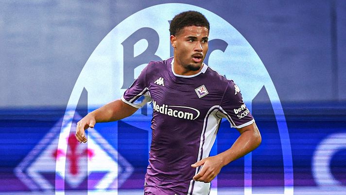 Sohm Bologna grafica