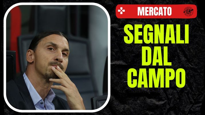Zlatan Ibrahimovic Milan-Torino 2-2 Serie A 2024-25