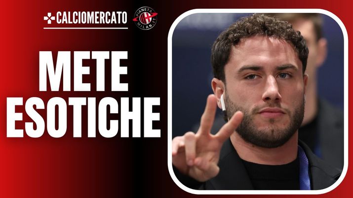 Davide Calabria Milan-Stella Rossa2-1 Champions League 2024-25 news