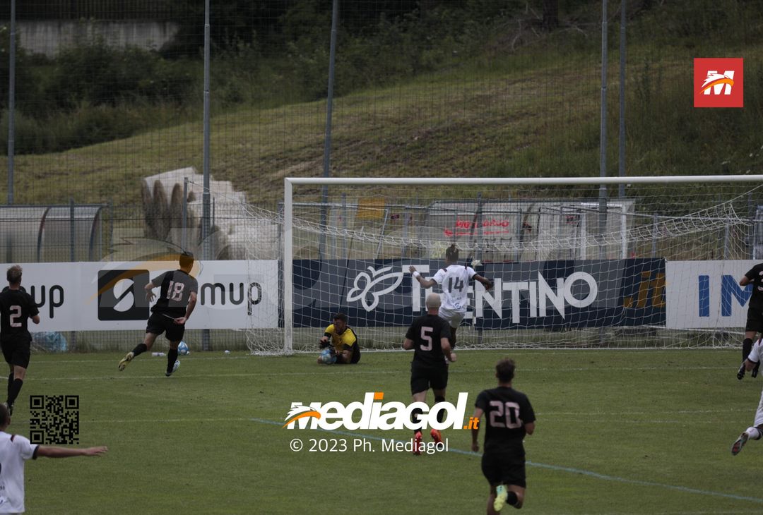 FOTO Palermo-Virtus Verona 0-1 (Gallery) - immagine 60