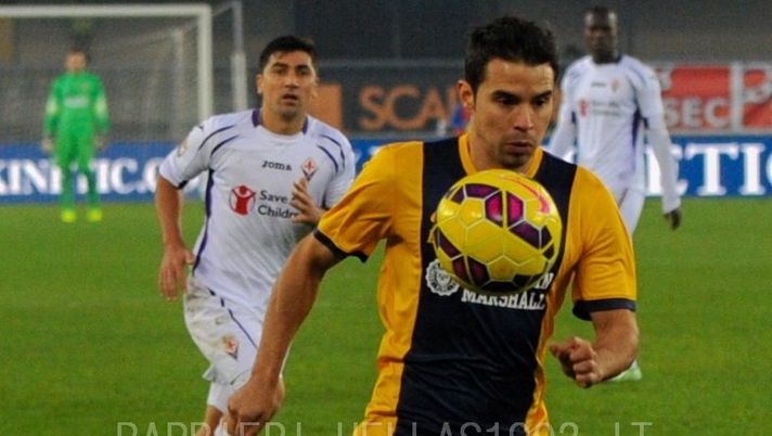 VERONA-PERUGIA, LA NOSTRA DIRETTA VERONA-PERUGIA, LA NOSTRA DIRETTA - immagine 1