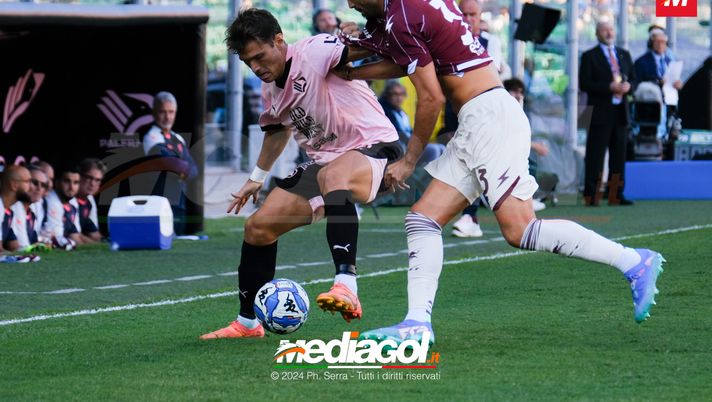 Salernitana-Palermo, il pre-partita: ultima spiaggia per i rosanero? - immagine 1