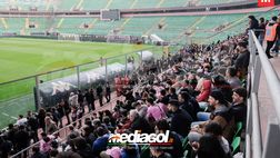 Palermo, aggiornamento campagna abbonamenti: raggiunta quota 7351