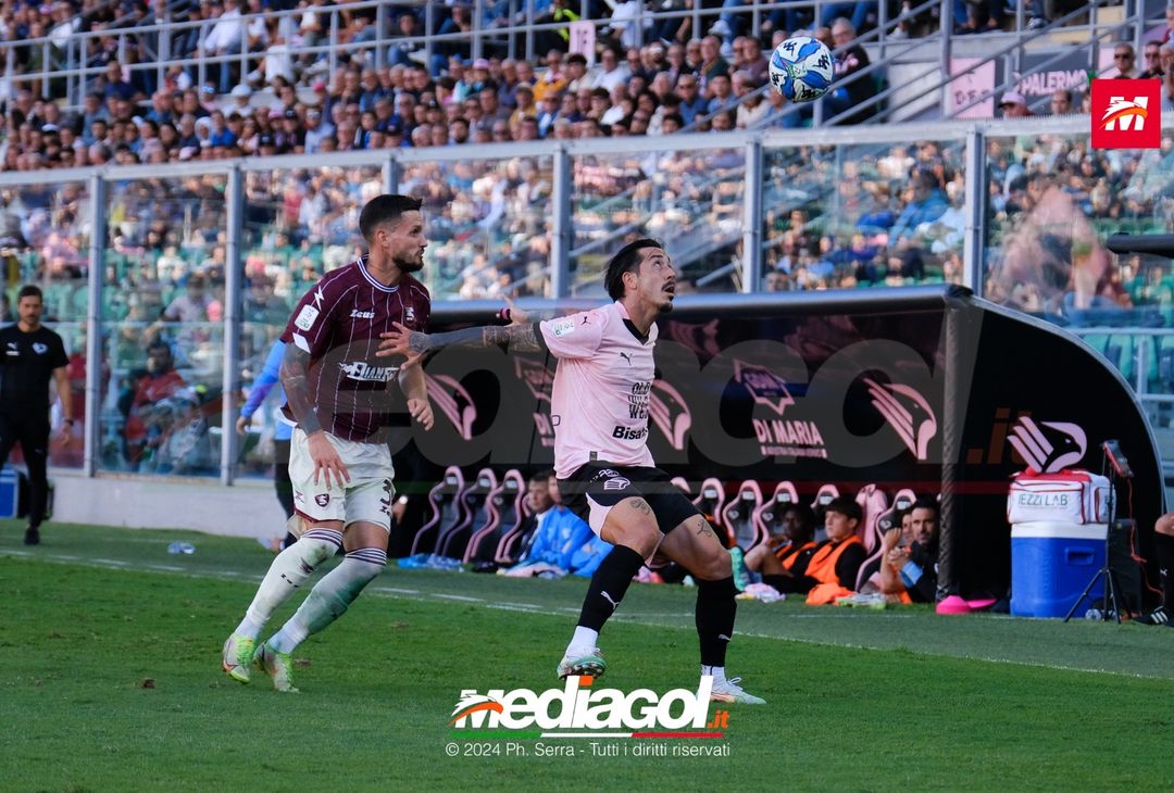 FOTO, Palermo-Salernitana 0-1 8a giornata Serie B 2024/25 - immagine 26