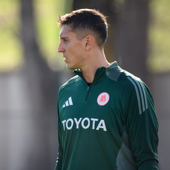 Pierluigi Gollini