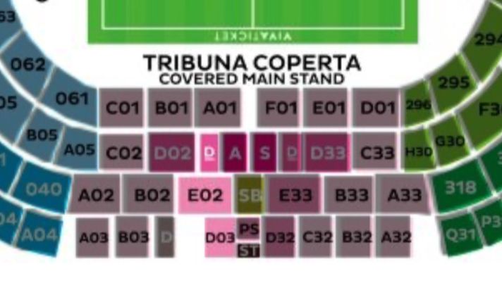 Palermo-Manchester City al Renzo Barbera: meno di 90 biglietti al sold out - immagine 1