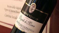 Nel cuore pulsante della Valpolicella, ecco la cantina Negrar