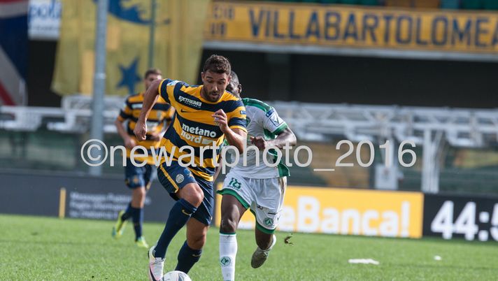 Verona a Bologna, le formazioni ufficiali  Verona a Bologna, le formazioni ufficiali - immagine 1