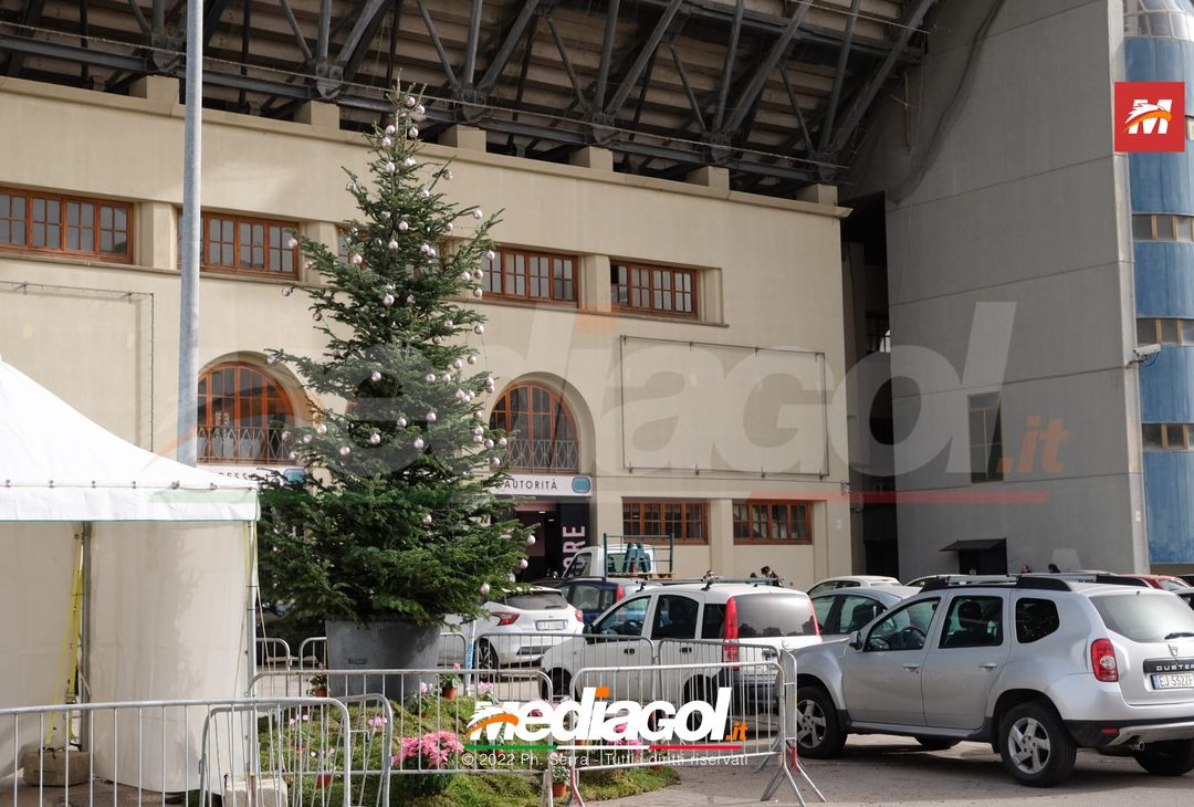 FOTO PALERMO, albero di Natale allo Stadio ‘Renzo Barbera’ (Gallery) - immagine 4