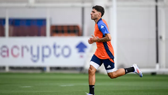 luis hasa