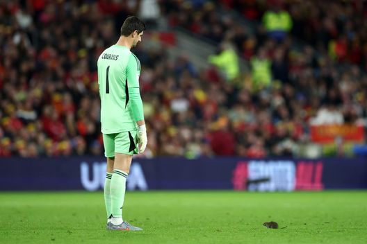 CARDIFF, GALLES - 13 OTTOBRE: Thibaut Courtois del Belgio cerca di fermare un topo in campo durante la sfida tra Galles e Belgio. (Photo by Dan Istitene/Getty Images) Il Cardiff City dopo l’invasione del topo in Galles-Belgio: “Zona già derattizzata”- immagine 2