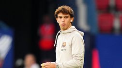 Dalla Spagna: “L’Atletico Madrid voleva scambiare Joao Felix con Darwin Nunez”