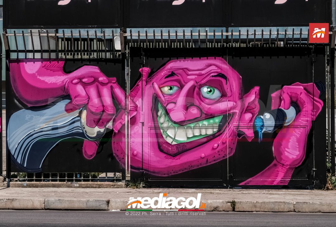 FOTO: I nuovi murales dello stadio ‘Renzo Barbera’ di Palermo (Gallery) - immagine 3