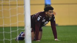 Adams pre Torino-Bologna: “Tifosi? Senza di loro è più dura ma daremo tutto”