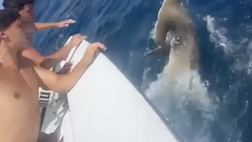 VIDEO – Joao Felix “pesca” uno squalo: il video delle polemiche