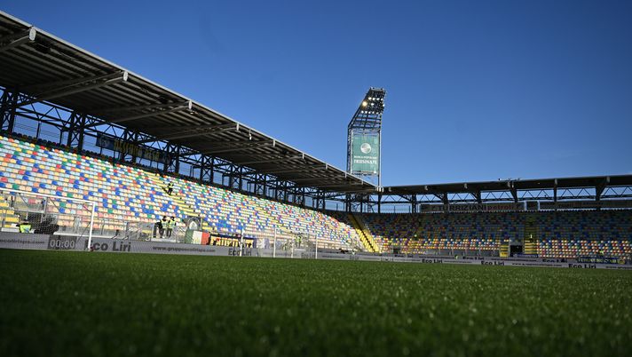 notte dei leoni