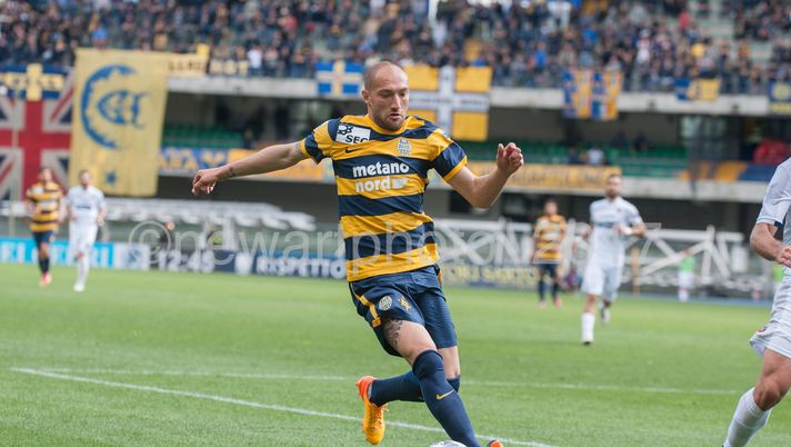 Mercato, Luppi a un passo dall’Entella - immagine 1