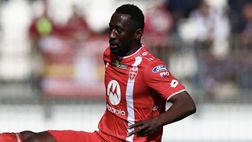 Chi gioca e chi no nel Monza, le probabile: stop Ciurria, da Palacios e Keita a Ganvoula