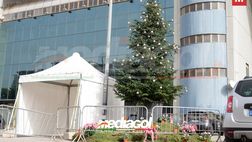FOTO PALERMO, albero di Natale allo Stadio ‘Renzo Barbera’ (Gallery)