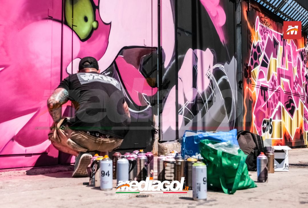 FOTO: I nuovi murales dello stadio ‘Renzo Barbera’ di Palermo (Gallery) - immagine 22