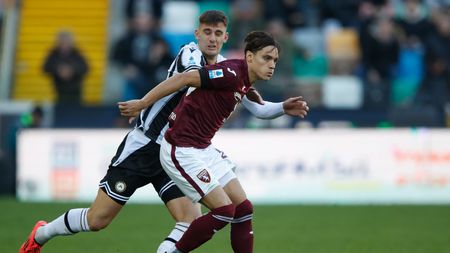 udinese-torino