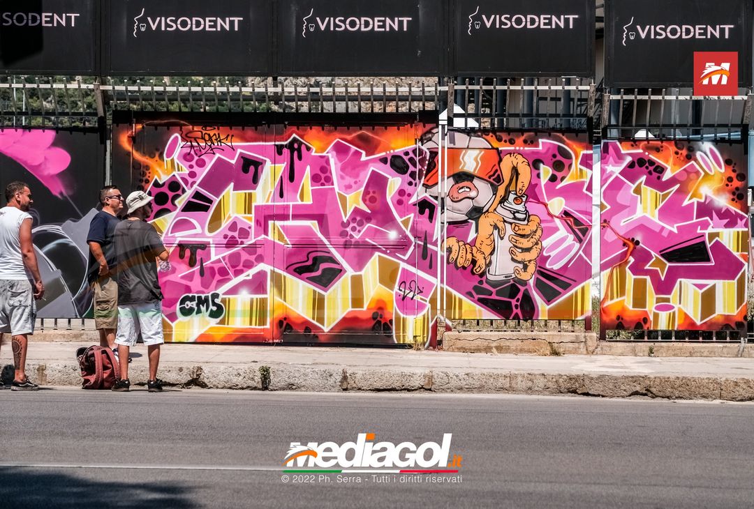 FOTO: I nuovi murales dello stadio ‘Renzo Barbera’ di Palermo (Gallery) - immagine 14