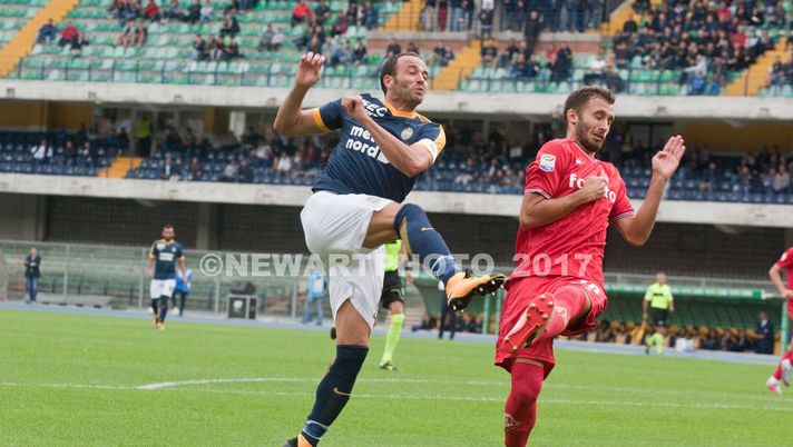 Verona-Sampdoria, le formazioni ufficiali Verona-Sampdoria, le formazioni ufficiali - immagine 1