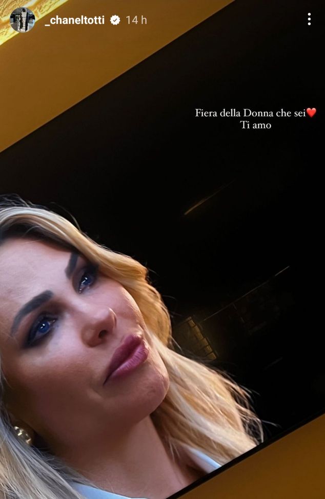Ilary Blasi racconta il tradimento subito da Totti: la reazione di Chanel sorprende- immagine 2