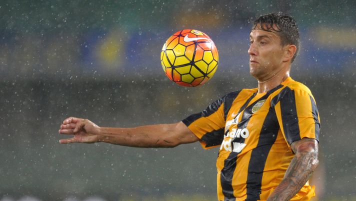 Jankovic sveglia Jovic: “Non è più giovanissimo. Ora deve dimostrare” - immagine 1