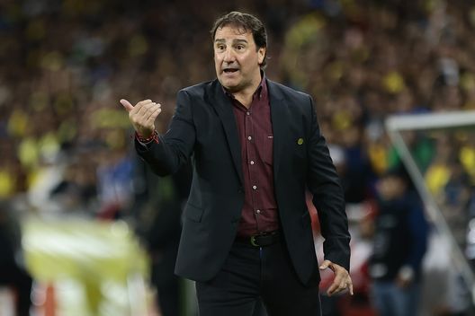 Nestor Lorenzo, Ct della Colombia (Photo by Franklin Jacome/Getty Images) Argentina-Colombia, dove vedere la partita in diretta tv e streaming LIVE- immagine 3