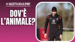 Milan, Pavlovic: dov’è l’animale? Ora è una riserva: ecco il motivo