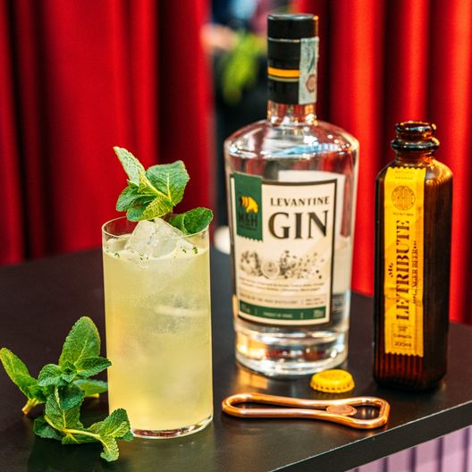 World Gin Day: ecco i cinque drink ispirati all’Italia verso gli Europei- immagine 11