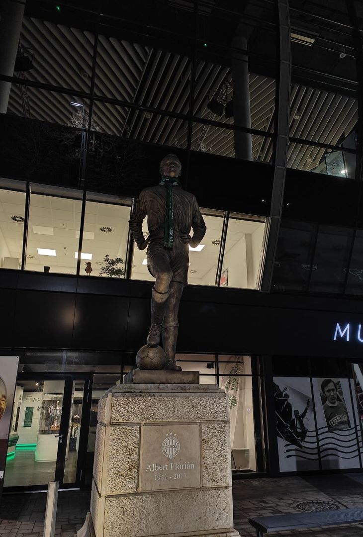 GALLERY VN – Ecco dove giocherà la Fiorentina contro il Ferencvaros - immagine 11