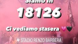 Palermo-Catanzaro, club comunica dato spettatori momentaneo: superata quota 18mila