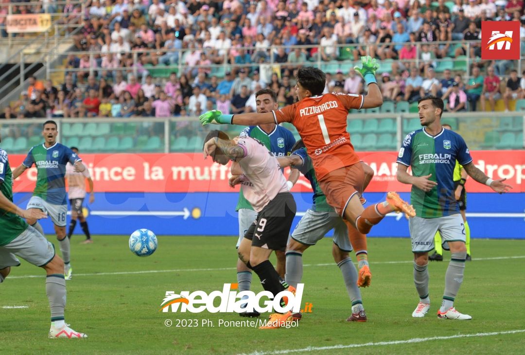 FOTO Palermo-Feralpisalò 3-0, 4ª giornata Serie B 2023-2024 (GALLERY) - immagine 38