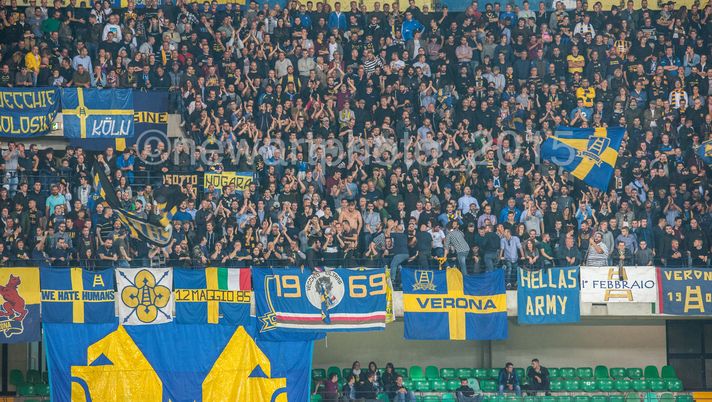 VERONA-UDINESE, LA NOSTRA DIRETTA  VERONA-UDINESE, LA NOSTRA DIRETTA - immagine 1