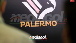 PALERMO: “INSIEME PER ARON. IN CAMPO PER I DIRITTI DEGLI ANIMALI”