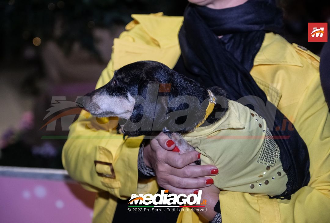 FOTO Palermo: Accardi, Saric e Gomes accendono l’albero al ‘Barbera’ (Gallery) - immagine 76