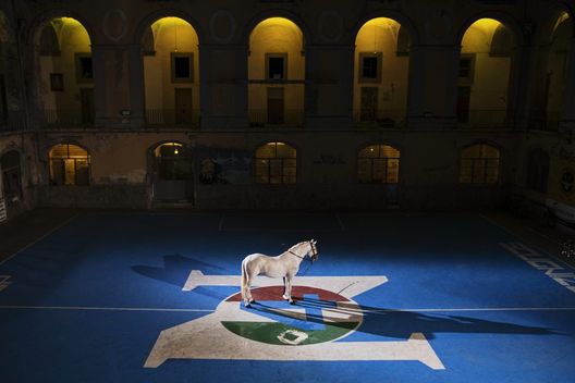 Inizia la stagione del Centenario! Tutte le iniziative: dal ritorno del primo simbolo al film celebrativo- immagine 2